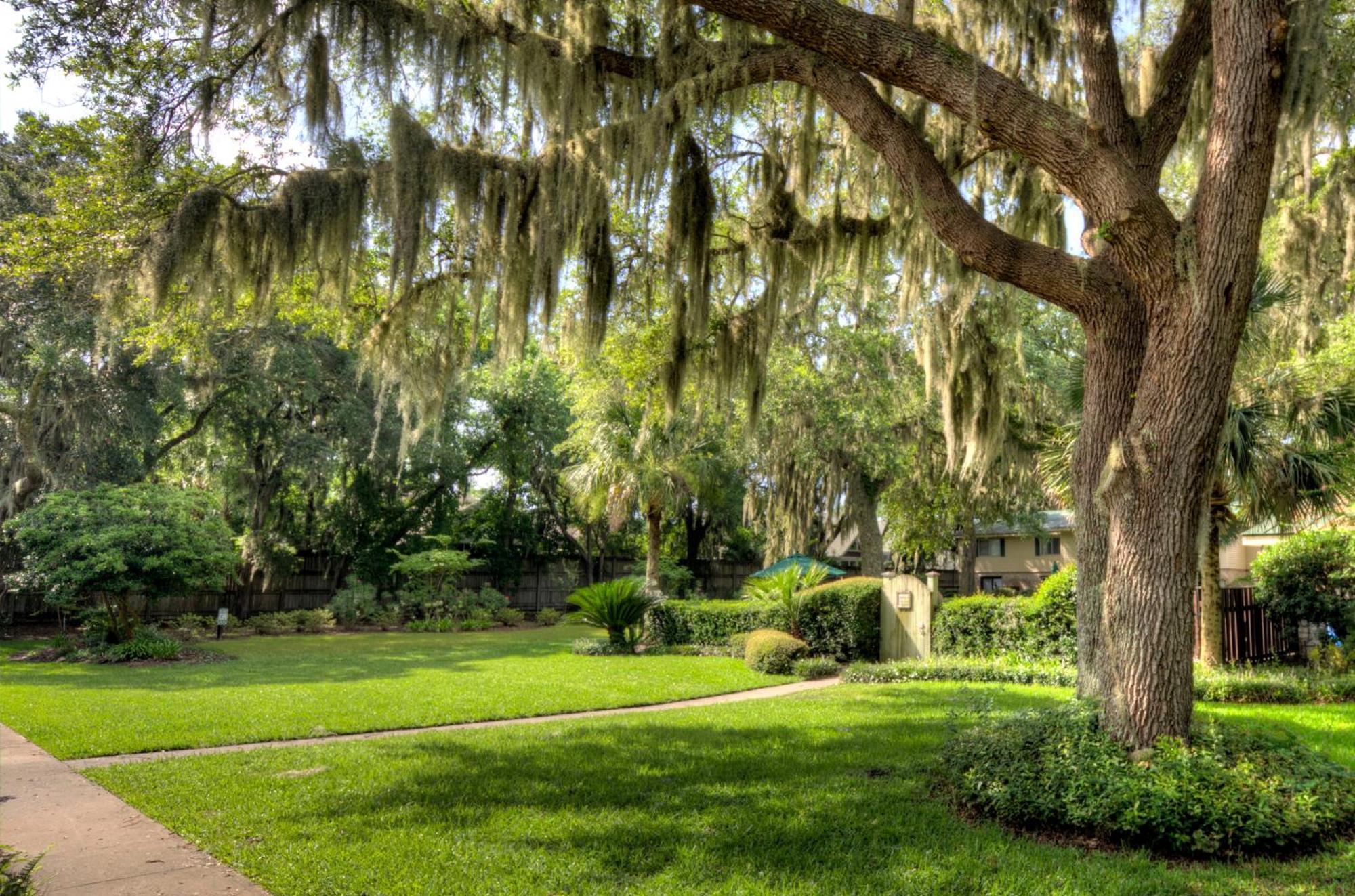 Turtle Cove- 2 Bedroom 1 And A Half Bathrooms St. Simons Island Екстер'єр фото